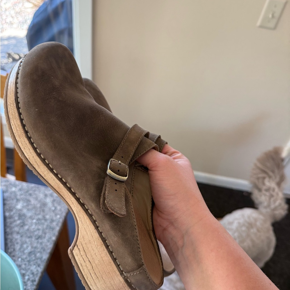 Brown Suede Women’s Clog with Buckle